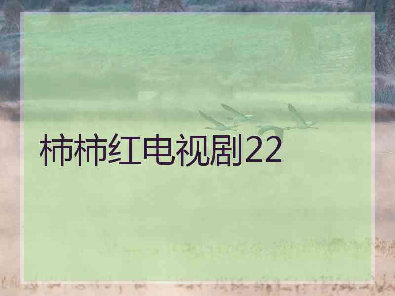 柿柿红电视剧22