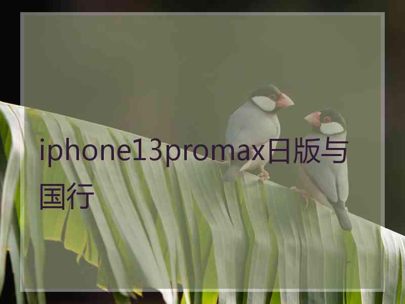 iphone13promax日版与国行