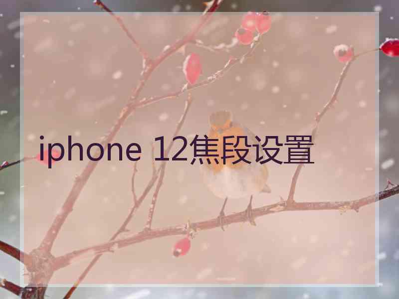 iphone 12焦段设置