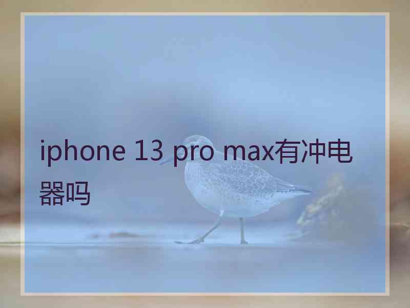 iphone 13 pro max有冲电器吗