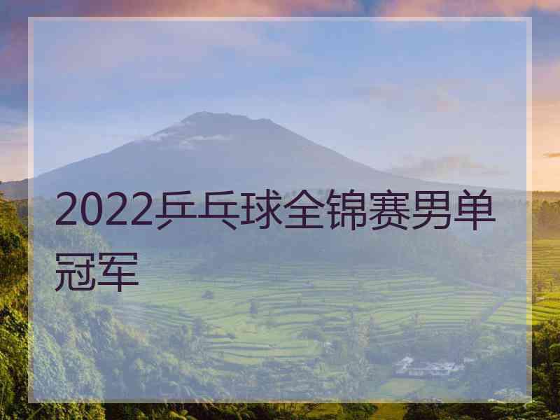 2022乒乓球全锦赛男单冠军