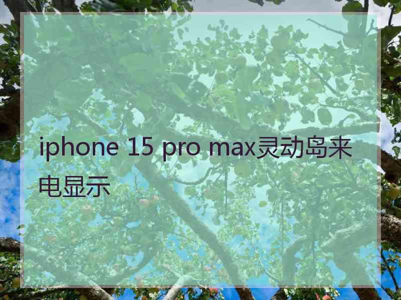 iphone 15 pro max灵动岛来电显示