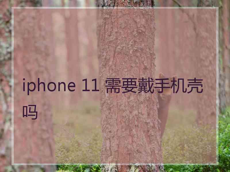 iphone 11 需要戴手机壳吗