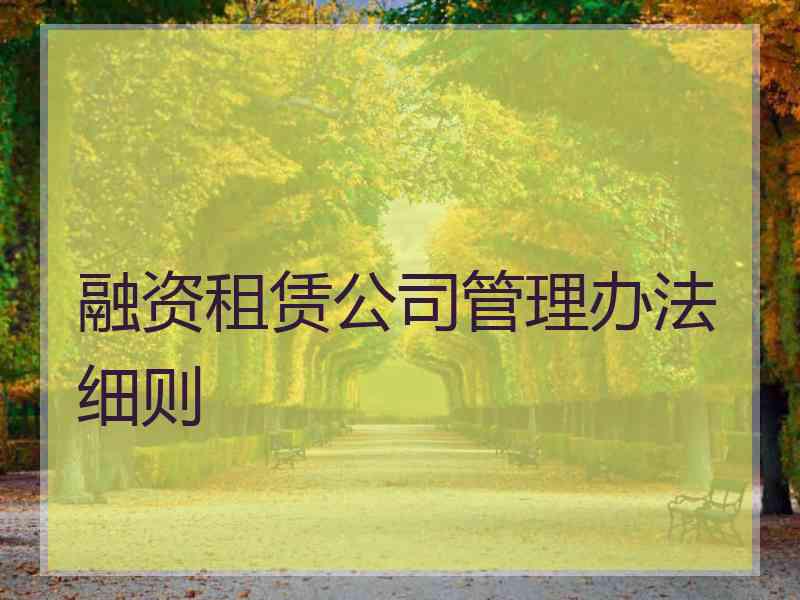 融资租赁公司管理办法细则