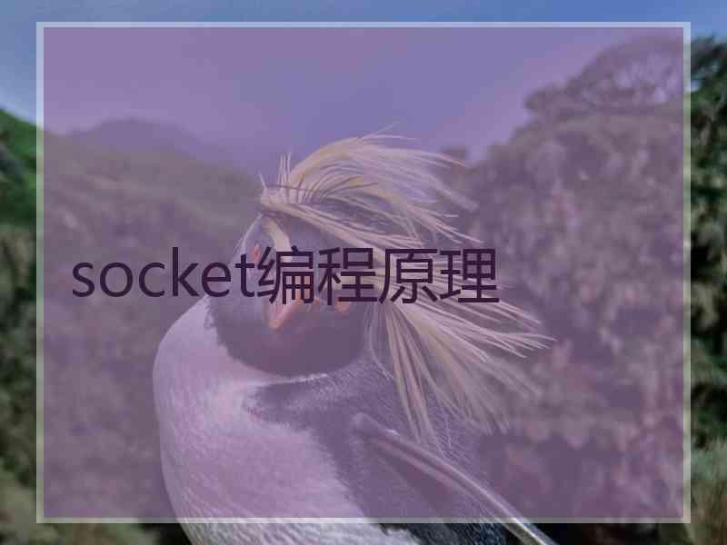 socket编程原理