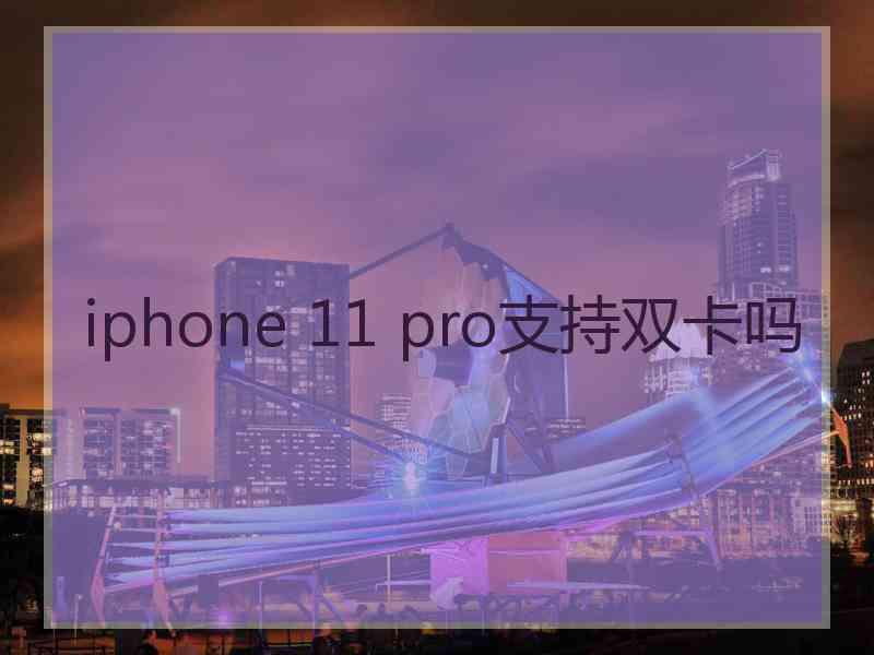 iphone 11 pro支持双卡吗