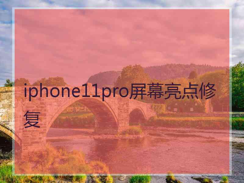 iphone11pro屏幕亮点修复