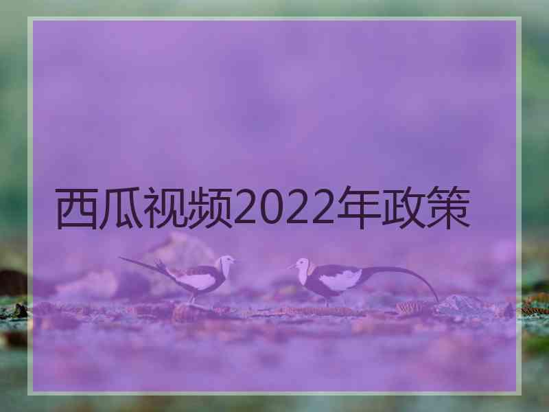 西瓜视频2022年政策