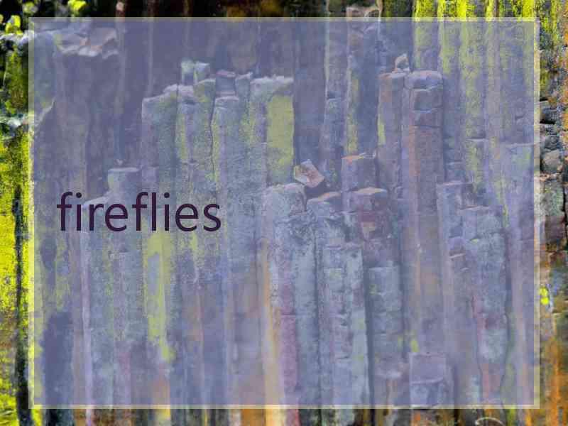 fireflies