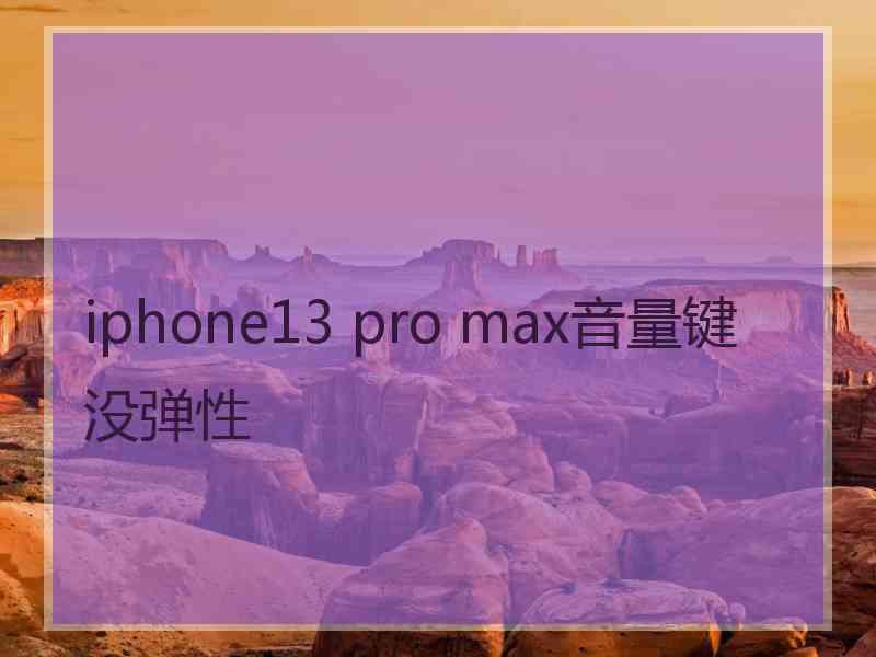 iphone13 pro max音量键没弹性