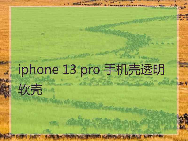 iphone 13 pro 手机壳透明软壳