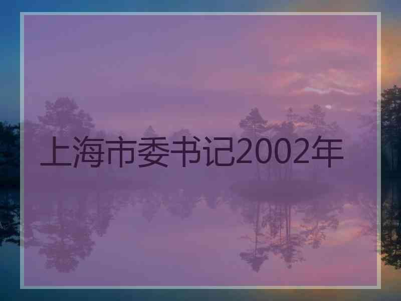 上海市委书记2002年