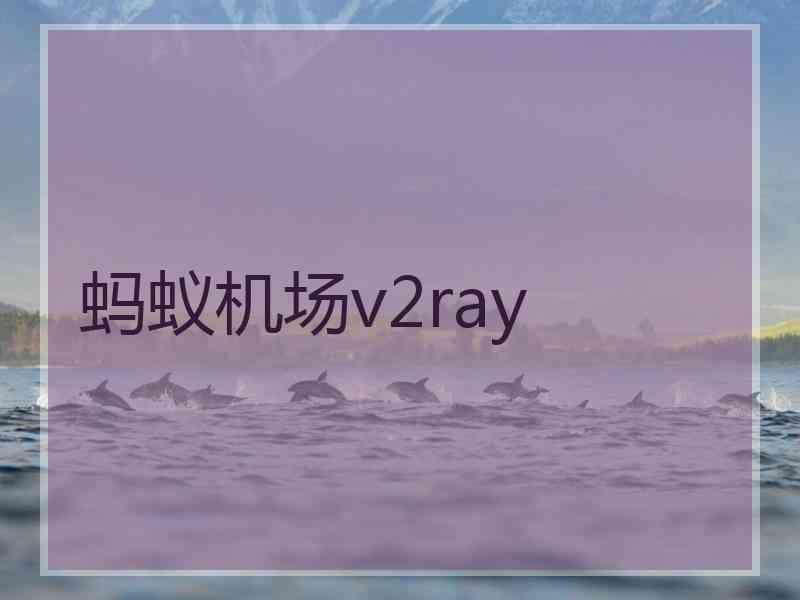 蚂蚁机场v2ray