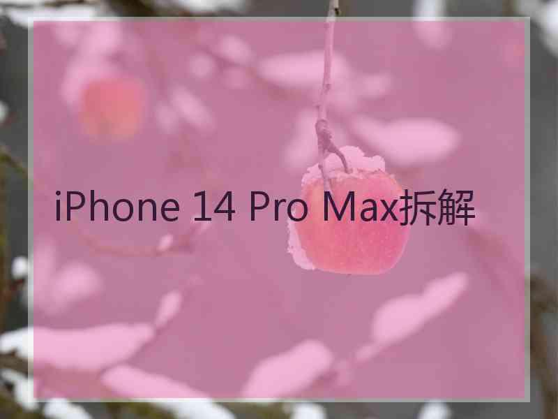 iPhone 14 Pro Max拆解