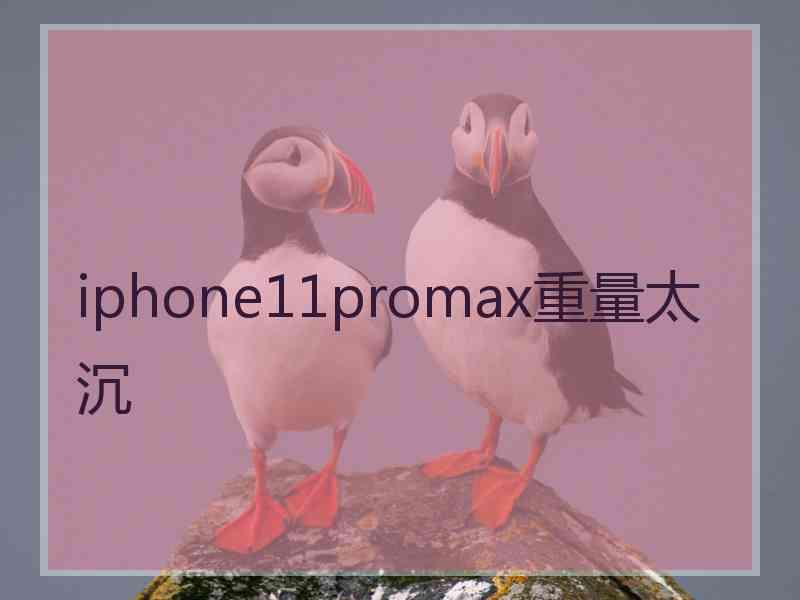 iphone11promax重量太沉