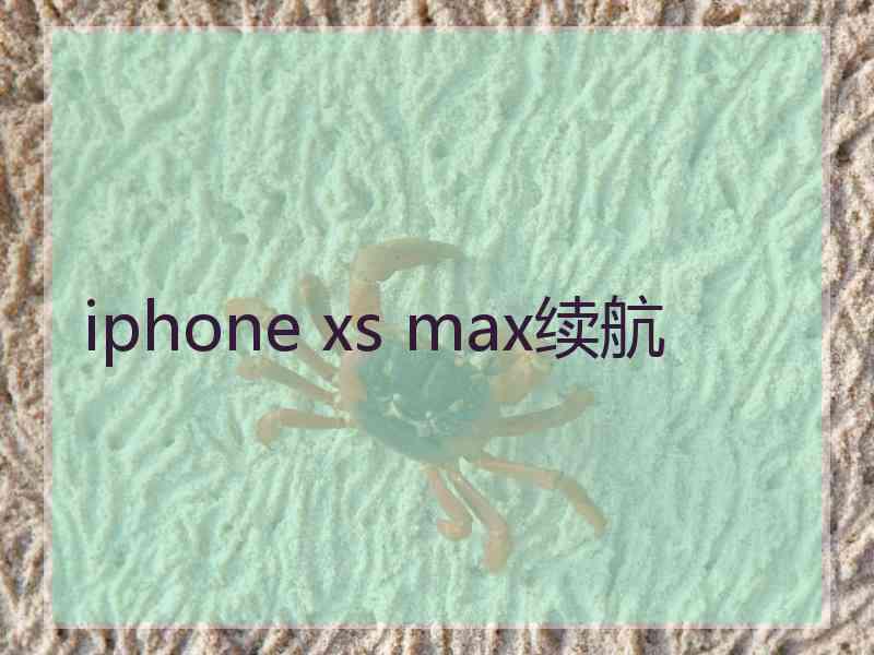 iphone xs max续航