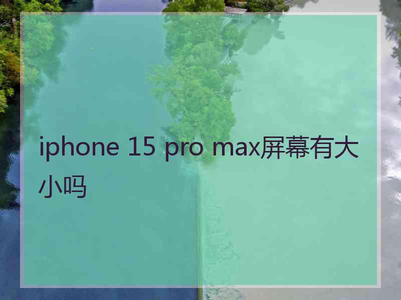 iphone 15 pro max屏幕有大小吗