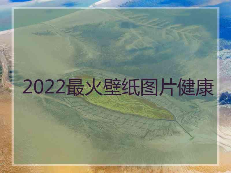 2022最火壁纸图片健康