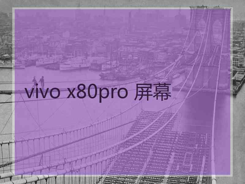 vivo x80pro 屏幕