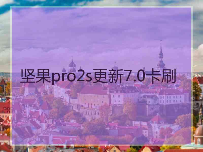 坚果pro2s更新7.0卡刷