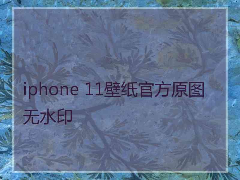 iphone 11壁纸官方原图无水印