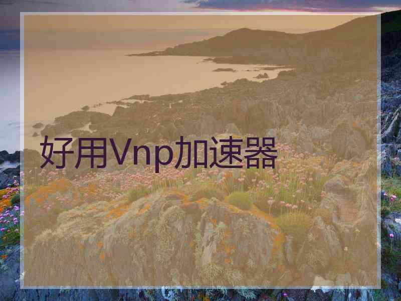 好用Vnp加速器