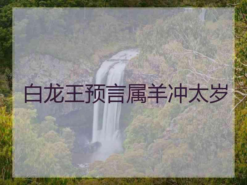 白龙王预言属羊冲太岁