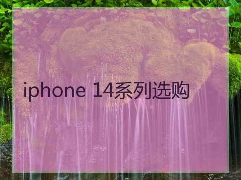 iphone 14系列选购