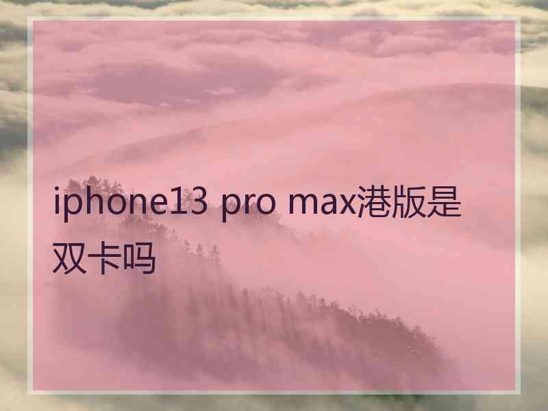 iphone13 pro max港版是双卡吗