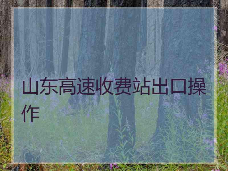 山东高速收费站出口操作