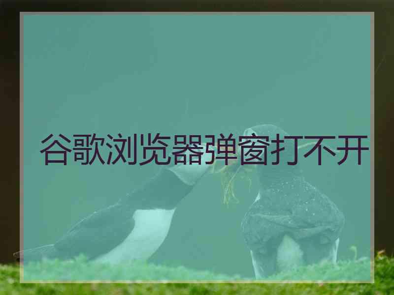 谷歌浏览器弹窗打不开