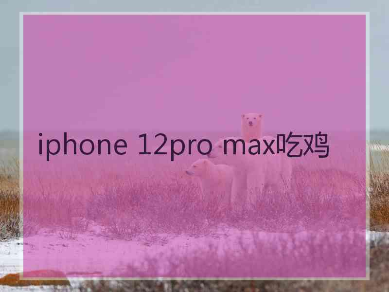 iphone 12pro max吃鸡