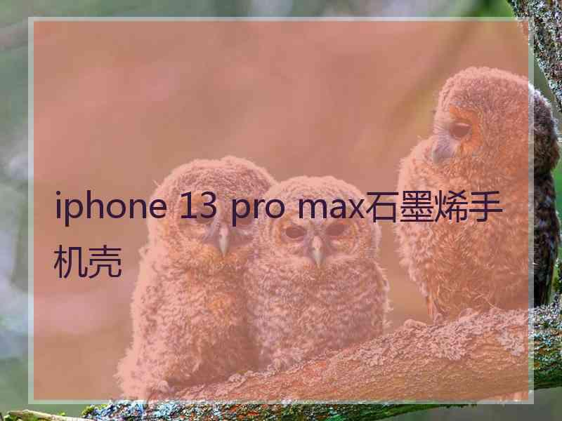 iphone 13 pro max石墨烯手机壳