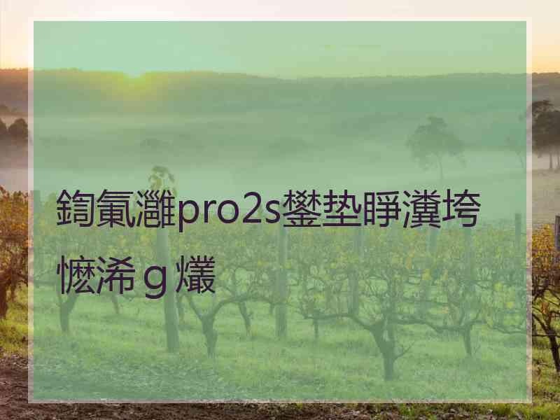 鍧氭灉pro2s鐢垫睜瀵垮懡浠ｇ爜