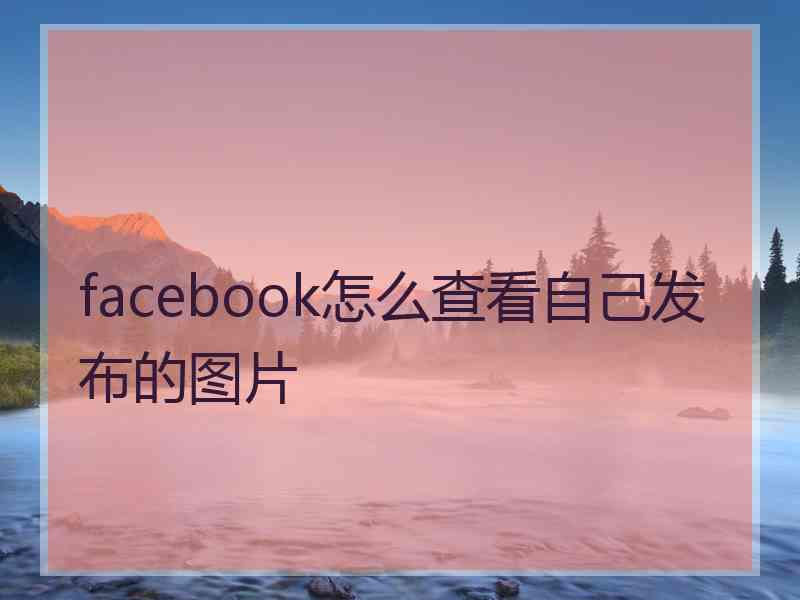 facebook怎么查看自己发布的图片