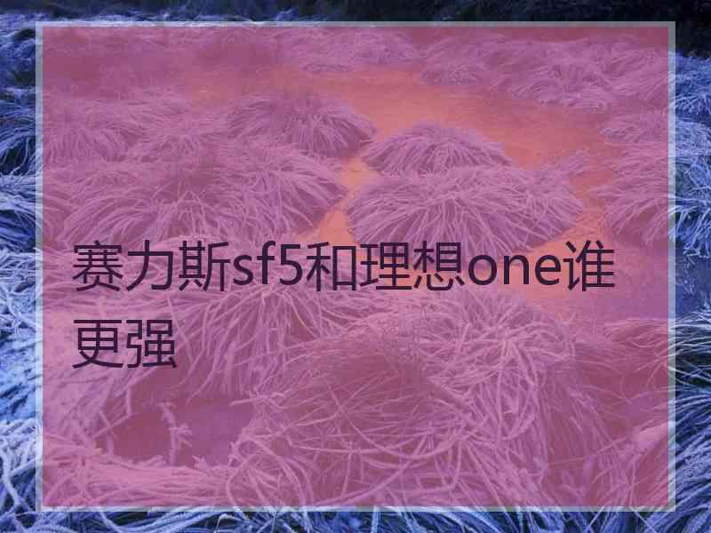 赛力斯sf5和理想one谁更强