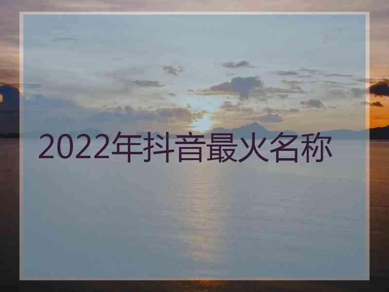 2022年抖音最火名称