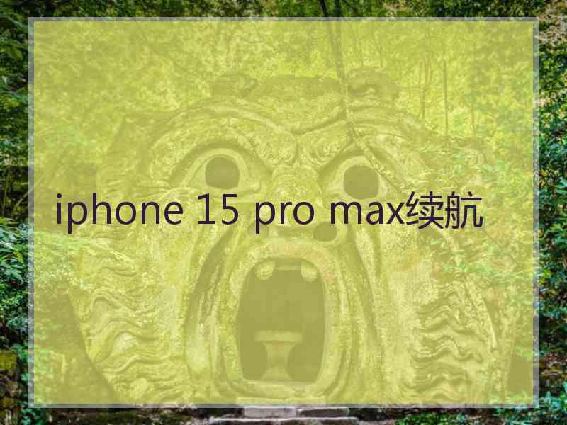 iphone 15 pro max续航