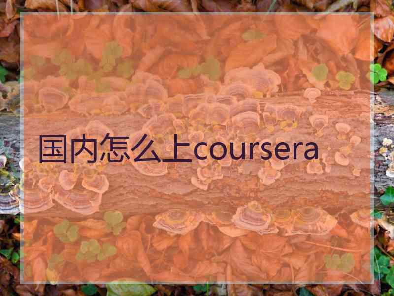 国内怎么上coursera