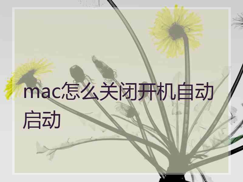 mac怎么关闭开机自动启动