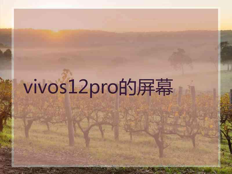 vivos12pro的屏幕