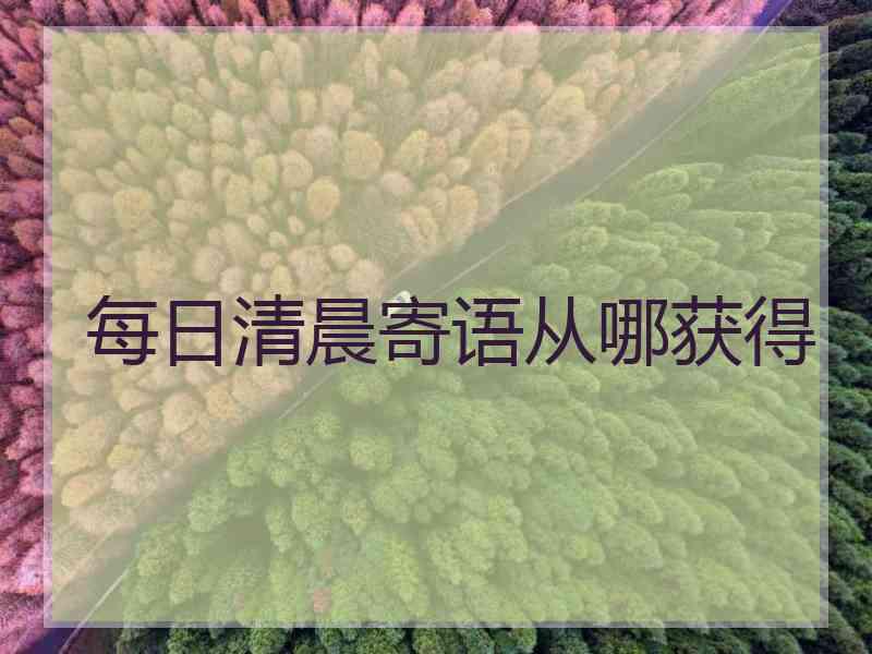 每日清晨寄语从哪获得