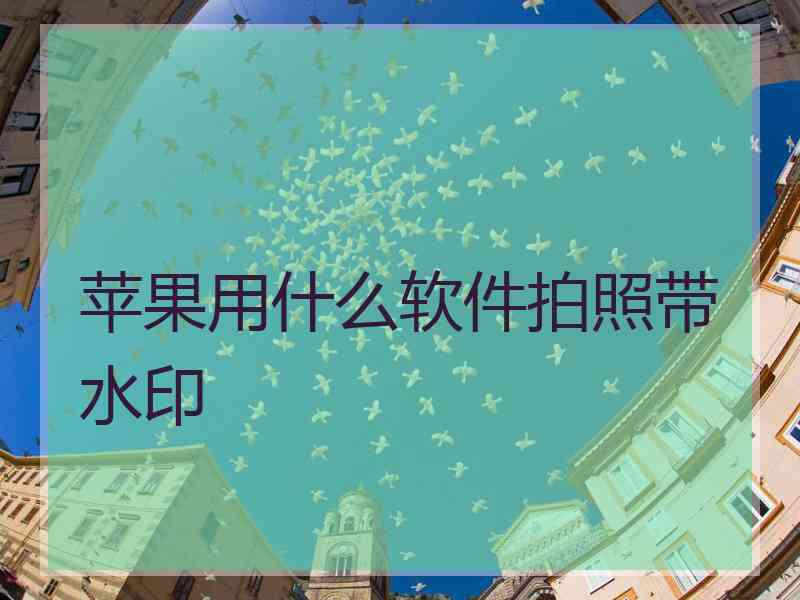 苹果用什么软件拍照带水印