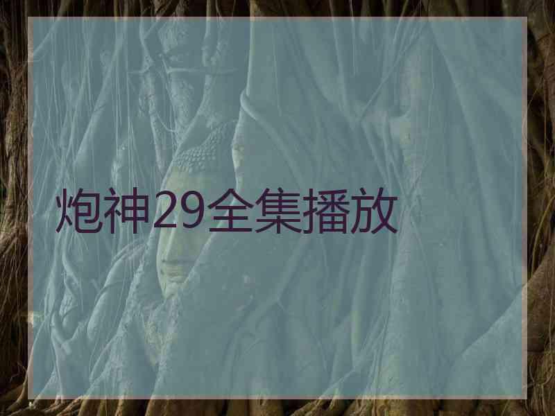 炮神29全集播放