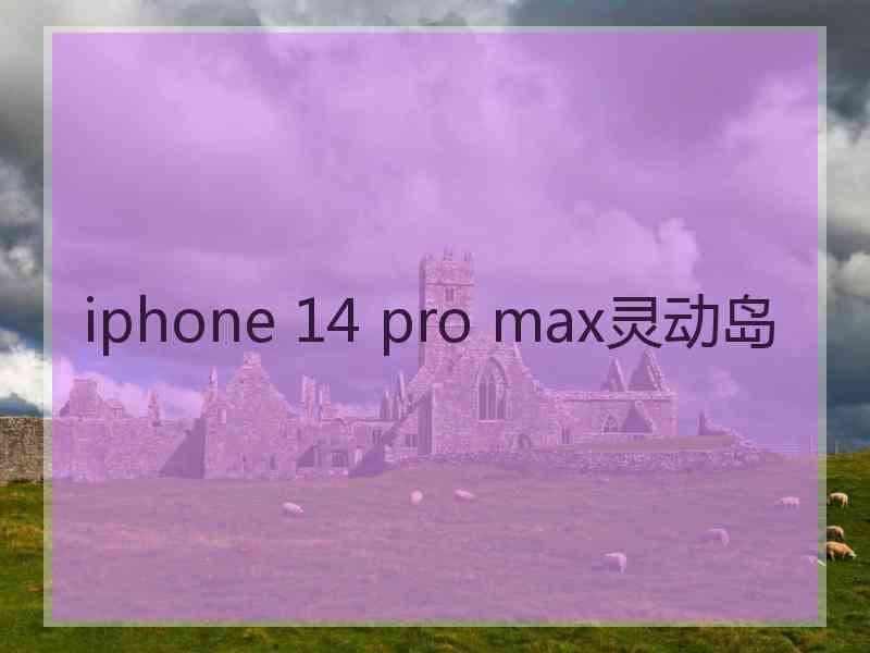 iphone 14 pro max灵动岛