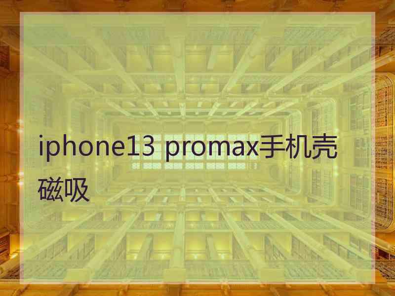 iphone13 promax手机壳磁吸