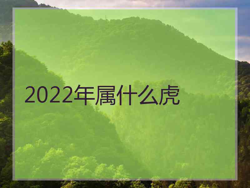 2022年属什么虎