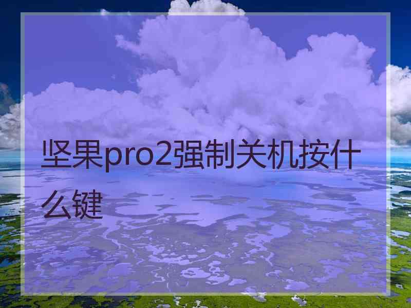 坚果pro2强制关机按什么键