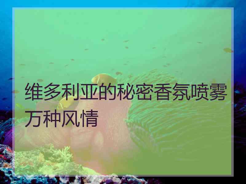 维多利亚的秘密香氛喷雾万种风情