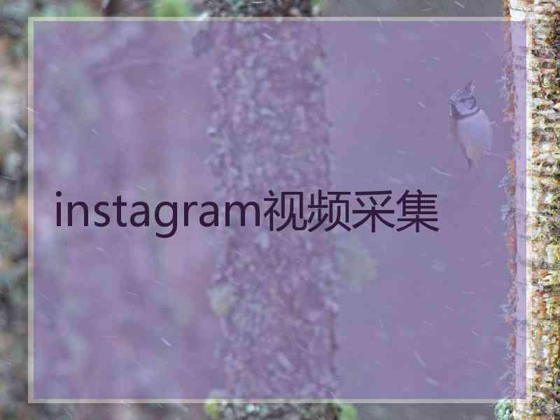 instagram视频采集